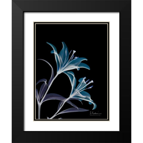 Lily L145 Black Modern Wood Framed Art Print with Double Matting by Koetsier, Albert