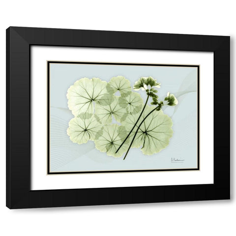 Geranium L48 Black Modern Wood Framed Art Print with Double Matting by Koetsier, Albert