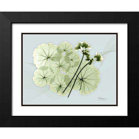 Geranium L48 Black Modern Wood Framed Art Print with Double Matting by Koetsier, Albert