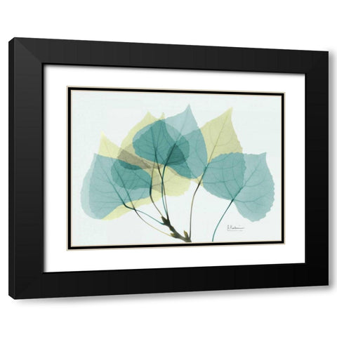 Aspen E143 Black Modern Wood Framed Art Print with Double Matting by Koetsier, Albert