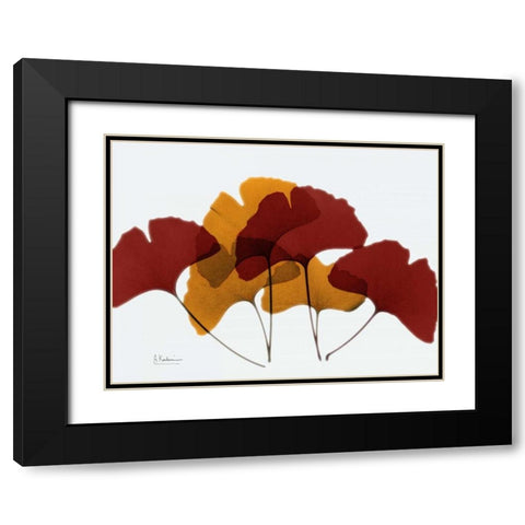 Gingko Fall Black Modern Wood Framed Art Print with Double Matting by Koetsier, Albert