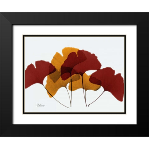 Gingko Fall Black Modern Wood Framed Art Print with Double Matting by Koetsier, Albert