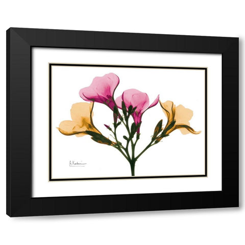 Oleander A56 Black Modern Wood Framed Art Print with Double Matting by Koetsier, Albert