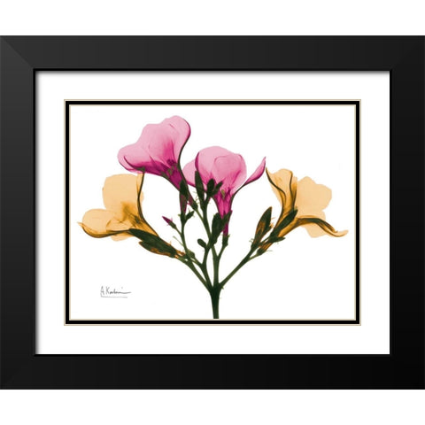 Oleander A56 Black Modern Wood Framed Art Print with Double Matting by Koetsier, Albert