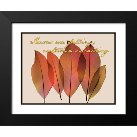Harvest Light 2 Black Modern Wood Framed Art Print with Double Matting by Koetsier, Albert