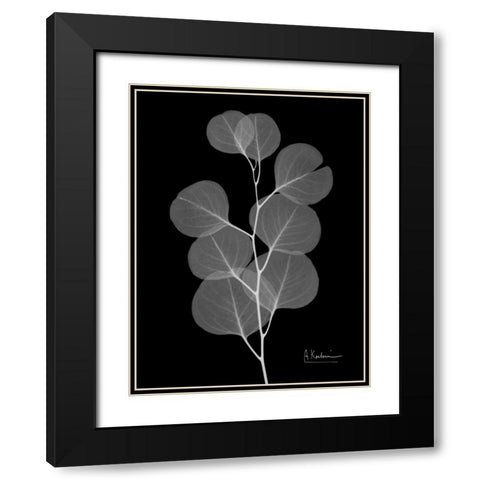 Eucalyptus E196 Black Modern Wood Framed Art Print with Double Matting by Koetsier, Albert