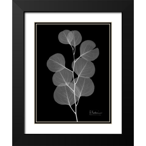 Eucalyptus E196 Black Modern Wood Framed Art Print with Double Matting by Koetsier, Albert