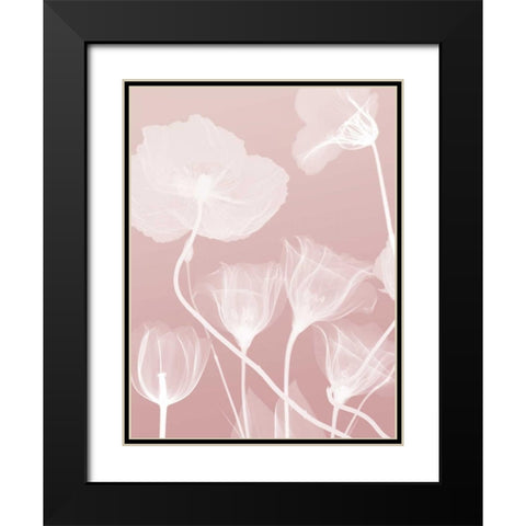 Pink Flora 1 Black Modern Wood Framed Art Print with Double Matting by Koetsier, Albert