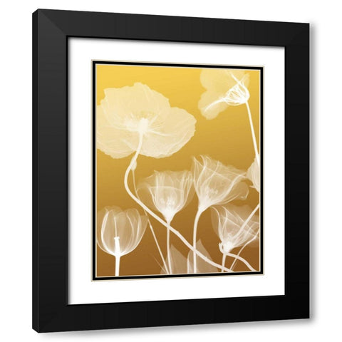 Transparent Flora 1 Black Modern Wood Framed Art Print with Double Matting by Koetsier, Albert