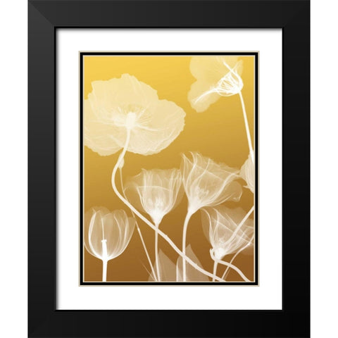 Transparent Flora 1 Black Modern Wood Framed Art Print with Double Matting by Koetsier, Albert