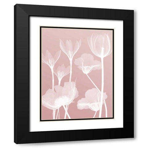 Pink Flora 2  Black Modern Wood Framed Art Print with Double Matting by Koetsier, Albert