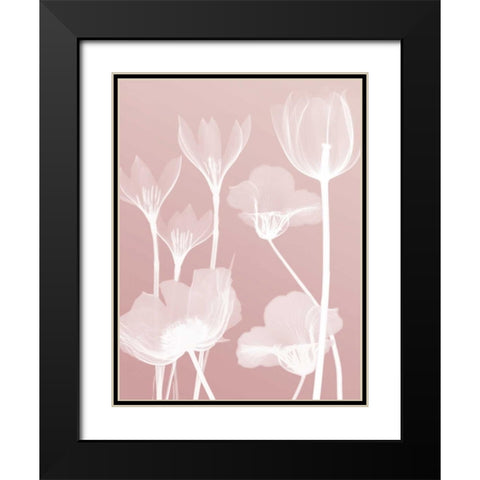 Pink Flora 2  Black Modern Wood Framed Art Print with Double Matting by Koetsier, Albert