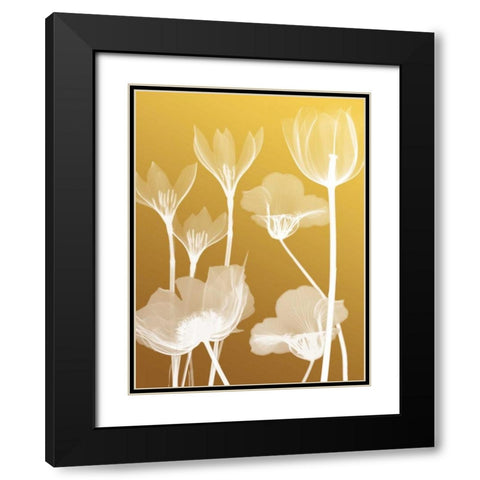 Transparent Flora 2 Black Modern Wood Framed Art Print with Double Matting by Koetsier, Albert