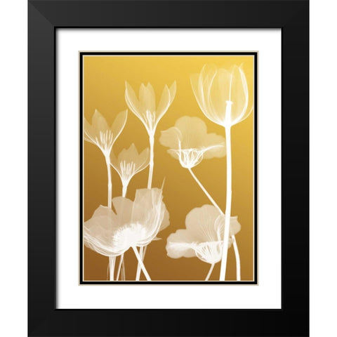 Transparent Flora 2 Black Modern Wood Framed Art Print with Double Matting by Koetsier, Albert