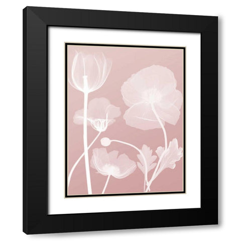 Pink Flora 3 Black Modern Wood Framed Art Print with Double Matting by Koetsier, Albert