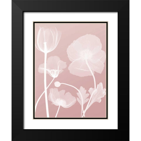 Pink Flora 3 Black Modern Wood Framed Art Print with Double Matting by Koetsier, Albert