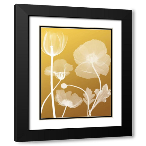 Transparent Flora 3 Black Modern Wood Framed Art Print with Double Matting by Koetsier, Albert