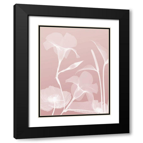 Pink Flora 4 Black Modern Wood Framed Art Print with Double Matting by Koetsier, Albert