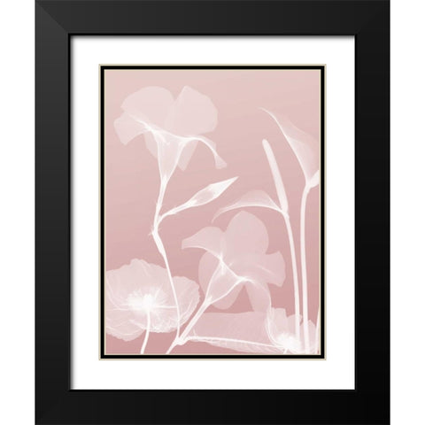 Pink Flora 4 Black Modern Wood Framed Art Print with Double Matting by Koetsier, Albert