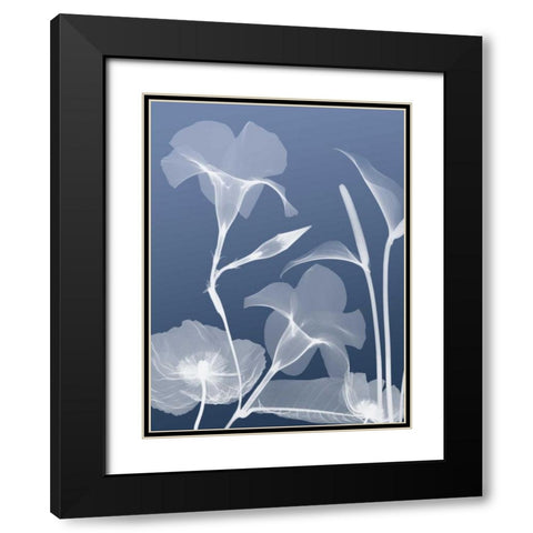 Transparent Flora 4 Black Modern Wood Framed Art Print with Double Matting by Koetsier, Albert