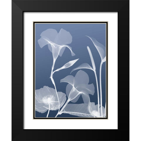 Transparent Flora 4 Black Modern Wood Framed Art Print with Double Matting by Koetsier, Albert