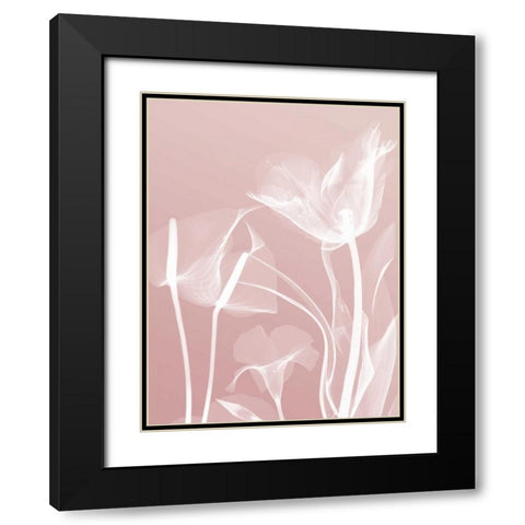 Pink Flora 5 Black Modern Wood Framed Art Print with Double Matting by Koetsier, Albert