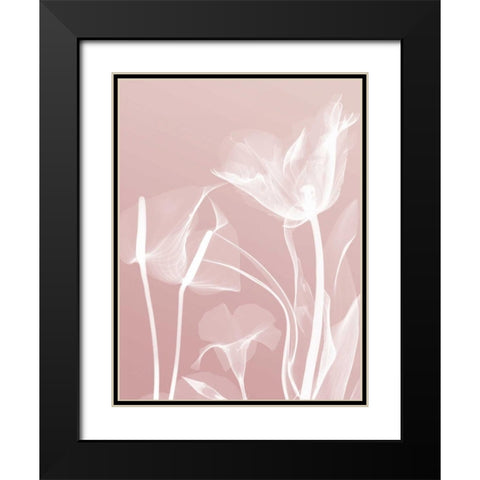 Pink Flora 5 Black Modern Wood Framed Art Print with Double Matting by Koetsier, Albert