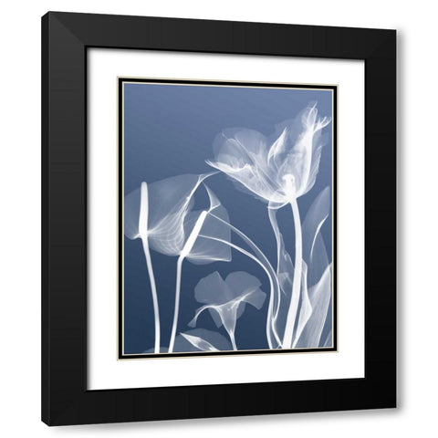 Transparent Flora 5 Black Modern Wood Framed Art Print with Double Matting by Koetsier, Albert