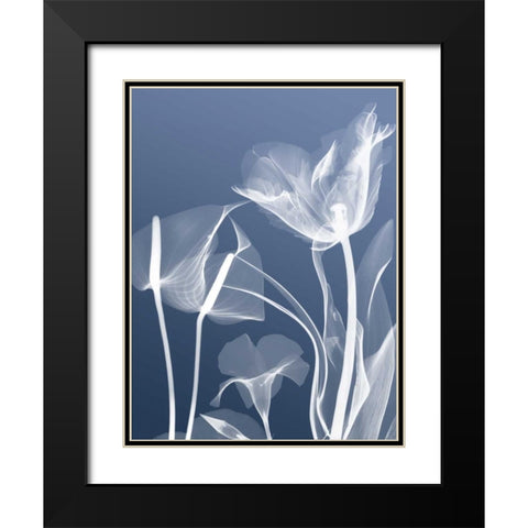 Transparent Flora 5 Black Modern Wood Framed Art Print with Double Matting by Koetsier, Albert