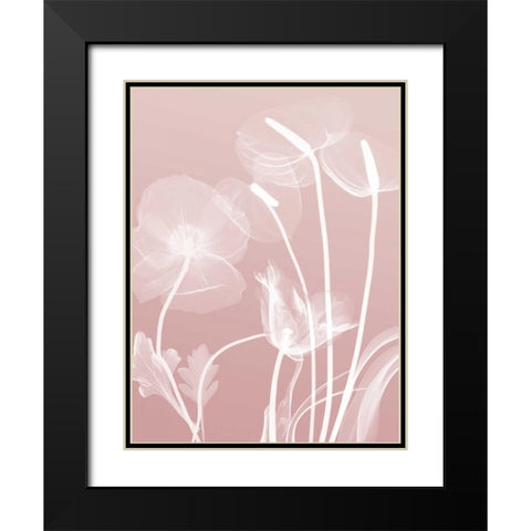 Pink Flora 6 Black Modern Wood Framed Art Print with Double Matting by Koetsier, Albert