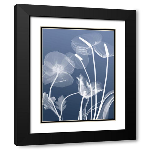 Transparent Flora 6 Black Modern Wood Framed Art Print with Double Matting by Koetsier, Albert