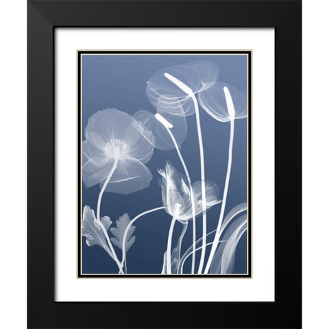 Transparent Flora 6 Black Modern Wood Framed Art Print with Double Matting by Koetsier, Albert