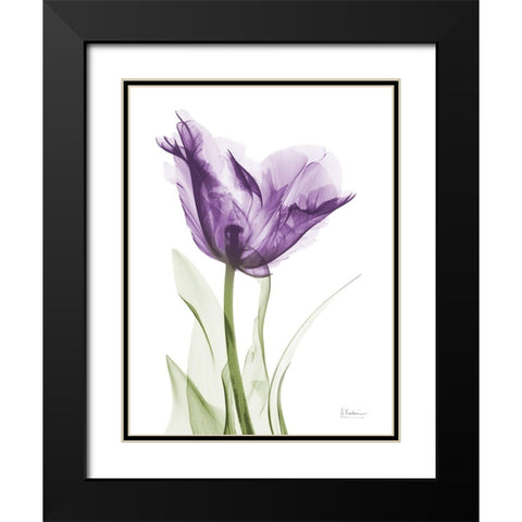 Lavender Trance Black Modern Wood Framed Art Print with Double Matting by Koetsier, Albert