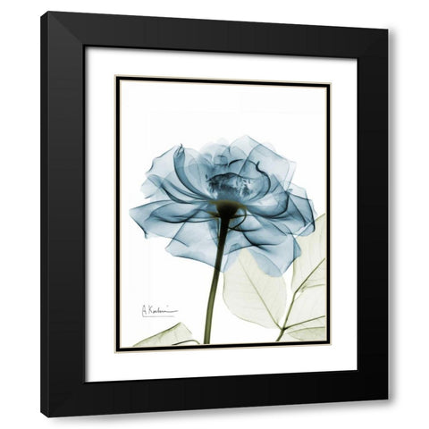 Teal Rose Black Modern Wood Framed Art Print with Double Matting by Koetsier, Albert