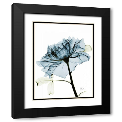 Teal Rose 2 Black Modern Wood Framed Art Print with Double Matting by Koetsier, Albert