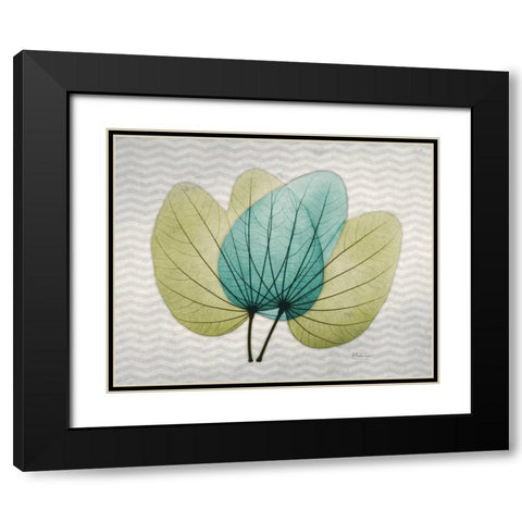 Citrus Orchid Tree Black Modern Wood Framed Art Print with Double Matting by Koetsier, Albert