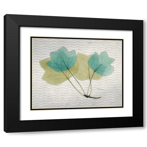 Citrus Tulip Tree Black Modern Wood Framed Art Print with Double Matting by Koetsier, Albert