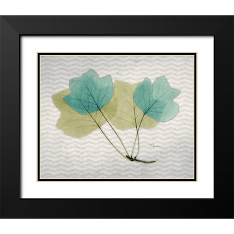 Citrus Tulip Tree Black Modern Wood Framed Art Print with Double Matting by Koetsier, Albert