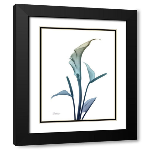 Ombre Expression 4 Black Modern Wood Framed Art Print with Double Matting by Koetsier, Albert