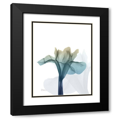 Ombre Expression 6 Black Modern Wood Framed Art Print with Double Matting by Koetsier, Albert