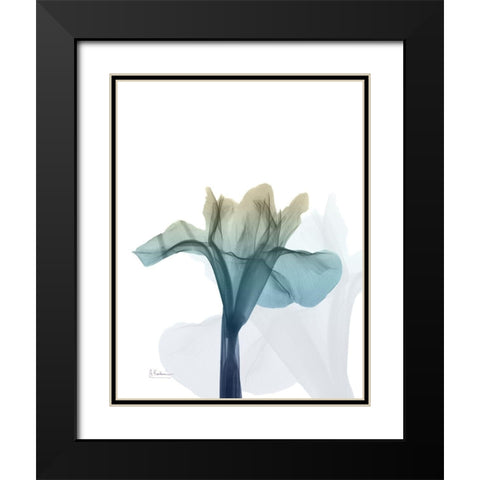 Ombre Expression 6 Black Modern Wood Framed Art Print with Double Matting by Koetsier, Albert