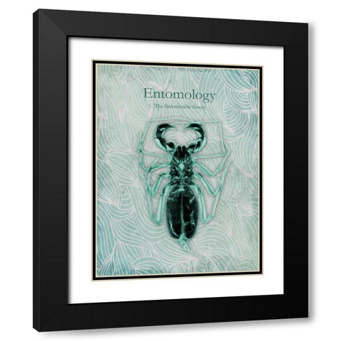 Indomitable Insect Black Modern Wood Framed Art Print with Double Matting by Koetsier, Albert