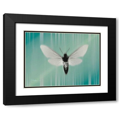 Manduca The Pilot Black Modern Wood Framed Art Print with Double Matting by Koetsier, Albert