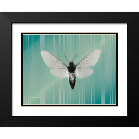 Manduca The Pilot Black Modern Wood Framed Art Print with Double Matting by Koetsier, Albert