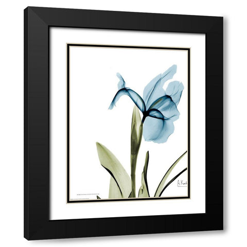 Iris B76 Black Modern Wood Framed Art Print with Double Matting by Koetsier, Albert