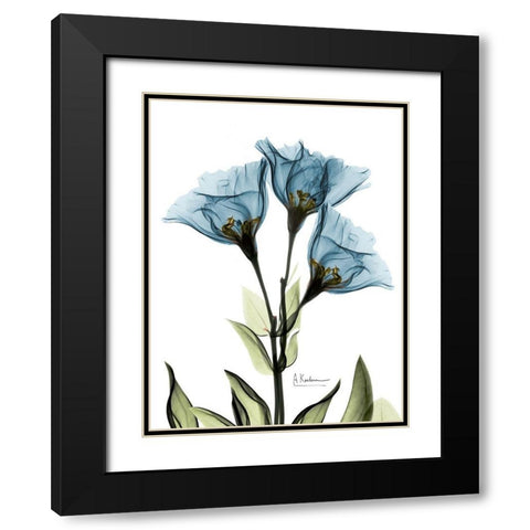 Gentian Sapphire NuetBlue Black Modern Wood Framed Art Print with Double Matting by Koetsier, Albert