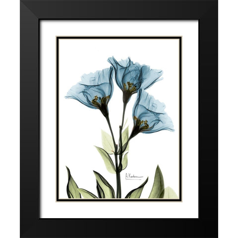 Gentian Sapphire NuetBlue Black Modern Wood Framed Art Print with Double Matting by Koetsier, Albert