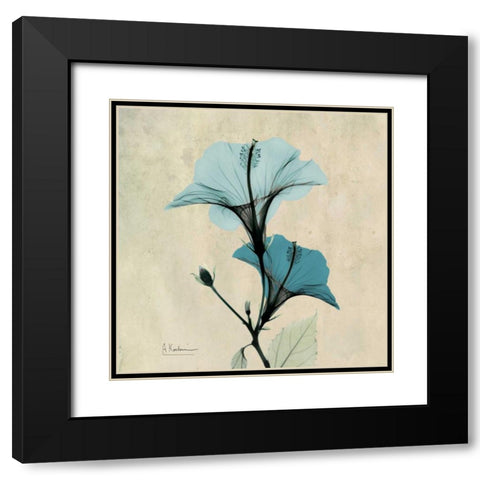 Hibiscus Black Modern Wood Framed Art Print with Double Matting by Koetsier, Albert