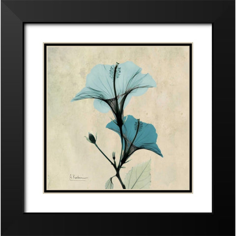 Hibiscus Black Modern Wood Framed Art Print with Double Matting by Koetsier, Albert