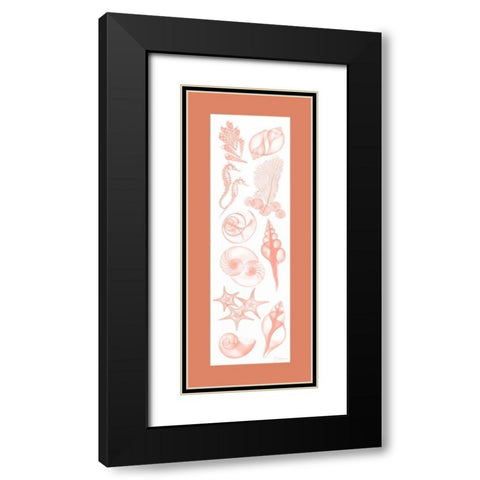 Sealife Coral Matte Black Modern Wood Framed Art Print with Double Matting by Koetsier, Albert